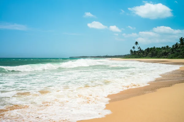 Plage de Koggala, Sri Lanka - vue exotique Image En Vente