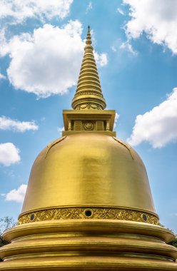 dambulla, sri lanka tapınakta mağara. 