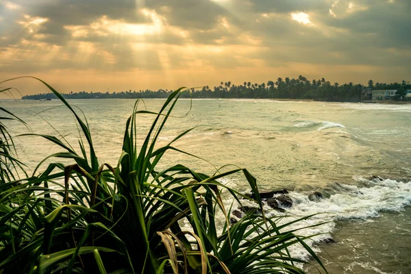 Natura w Azji, Sri Lanka. Krajobrazy w pobliżu Matara. — Zdjęcie stockowe