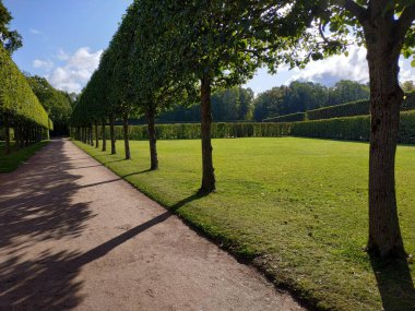 Catherine Sarayı 'na ve sonbahar havasında binalara bakın, Saint Petersburg, Rusya
