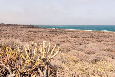 Manzara görüntüsü Mirador del Rio Lanzarote, Kanarya Adası, İspanya