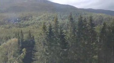 Norveç doğası Flam köyü ve Flam demiryolu yakınında. 