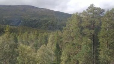 Norveç doğası Flam köyü ve Flam demiryolu yakınında. 