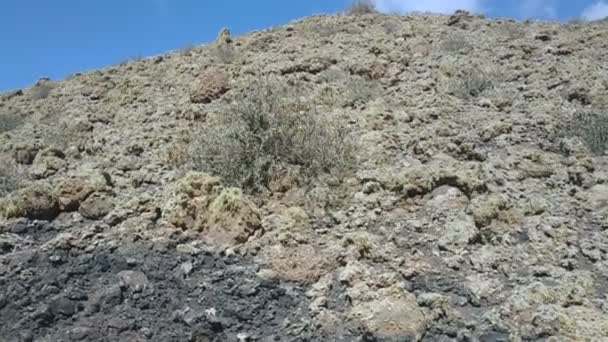 スペイン カナリア諸島 ラスパルマスの火山性のカジュアルビュー — ストック動画