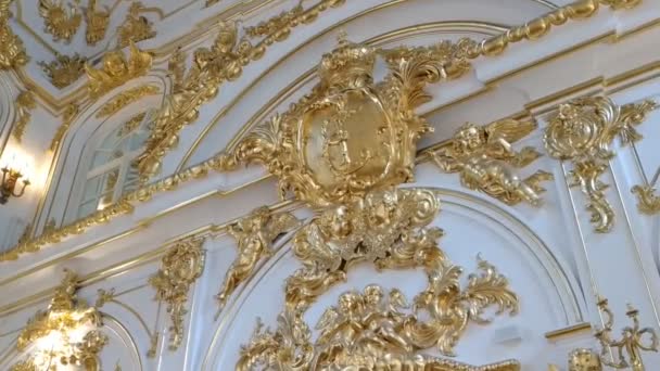 Saint Petersburg Rusya Eylül 2019 Hermitage Mimarisi Sergileri Hakkında Günlük — Stok video