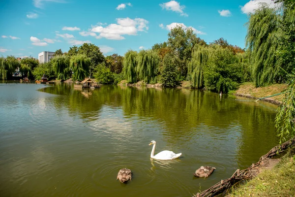 Миргородская городская археология. Украина . — стоковое фото