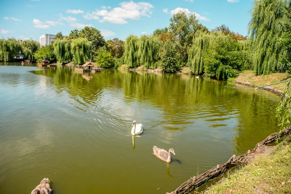 Mirgorod şehir arhytecture. Ukrayna.