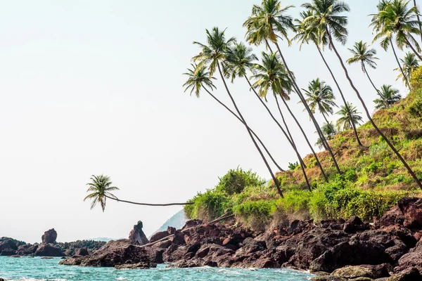 Cola beach, Goa, Hindistan