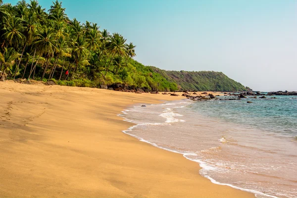 Cola beach, Goa, Indie — Stock fotografie