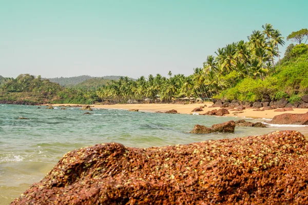 Cola beach, Goa, Indie — Stock fotografie