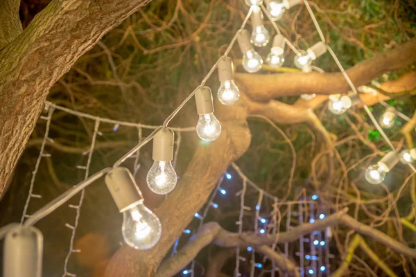 Düğün süslemeleri