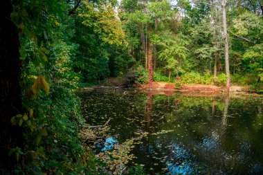 doğa Avrupa, Ukrayna