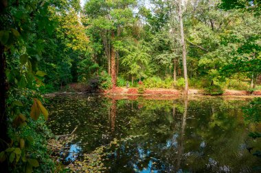 doğa Avrupa, Ukrayna