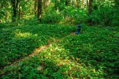 doğa Avrupa, Ukrayna