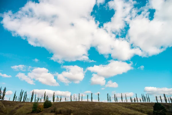 Naturen av Europa, Ukraina — Stockfoto