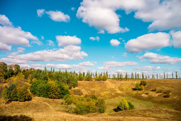 Naturen av Europa, Ukraina — Stockfoto