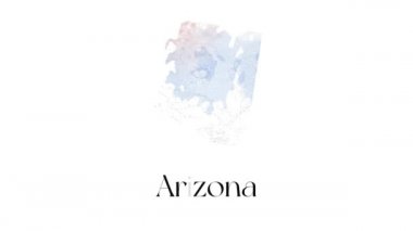 Arizona animasyon haritası Amerika Birleşik Devletleri 'nden Alaska eyaletini gösteriyor. Arizona 'nın 2d haritası.