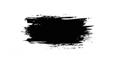 Beyaz arka planda siyah fırça darbeleri. El çizimi fırça darbesi.