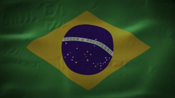 Brasil realista bandera nacional sin fisuras looping ondeando animación — Vídeos de Stock