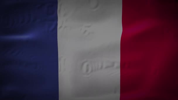 A high-quality footage of 3D France flag fabric surface background animation — Stock video