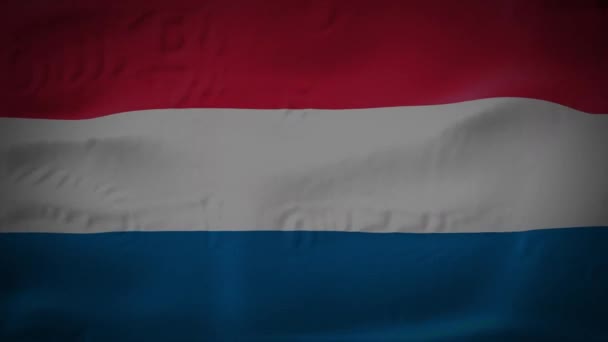 A high-quality footage of 3D Netherlands flag fabric surface background animation — Stock video