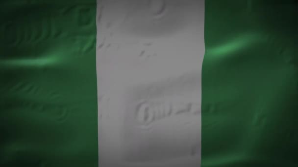 Bandeira Nigéria está acenando animação 3D. Bandeira da Nigéria acenando ao vento. Bandeira nacional da Nigéria. Bandeira animação loop sem costura. resolução 4K de alta qualidade — Vídeo de Stock