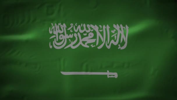 Un metraje de alta calidad de la animación de fondo de superficie de tela de bandera de Arabia Saudita 3D — Vídeos de Stock