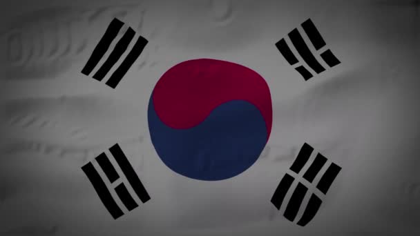 3D韓国国旗生地表面背景アニメーションの高品質な映像 — ストック動画