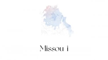 Amerika Birleşik Devletleri 'nden Missouri eyaletini gösteren fırçalı animasyon haritası. Missouri 'nin 2d haritası.