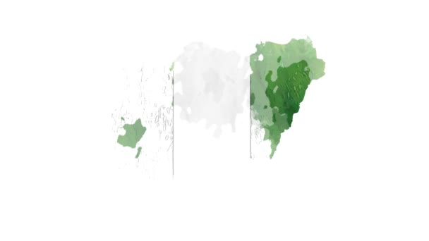 Flagge Nigerias - verschiedene Arten Nigeria-Flagge. Bewegungsgrafik. — Stockvideo