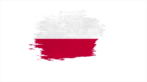 Flag of Poland - different types Drawing Poland Flag — Vídeo de Stock