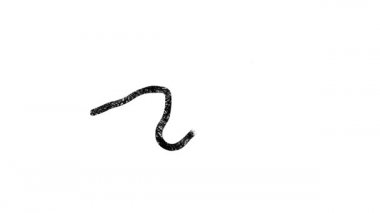 Oval Ofis 'i işaret eden el yapımı ok. Beyaz Tahta Canlandırması 4K Hareket grafikleri