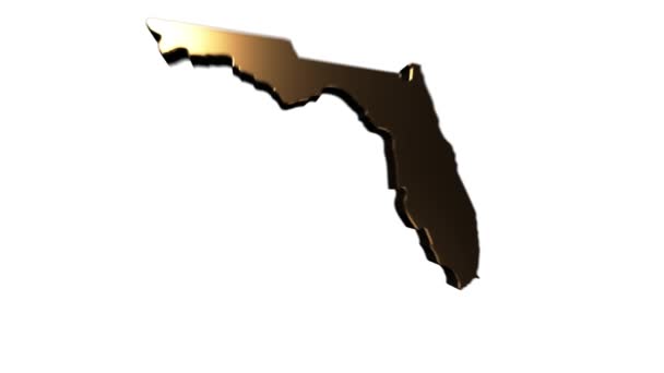 Florida State of the United States of America. Marqueur de position animé en or 3d sur la carte. Facile à utiliser avec le mode de transparence de l'écran sur votre vidéo. — Video