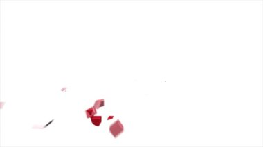 İspanya Haritası Bölge 4k animasyonlu İspanya haritasının giriş geçmişini gösteriyor. Ülkeler teker teker görünüp kayboluyor ve kamera hareketi devam ediyor.