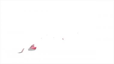 Amerika Birleşik Devletleri New York Eyaleti. Haritadaki canlandırılmış 3d piksel konum işaretleyicisi. Videonuzda ekran şeffaflığı kipi ile kullanılması kolay.