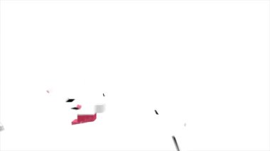Pennsylvania Eyaleti, Amerika Birleşik Devletleri. Haritadaki canlandırılmış 3d piksel konum işaretleyicisi. Videonuzda ekran şeffaflığı kipi ile kullanılması kolay.