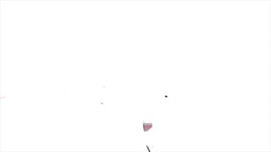 Güney Carolina Eyaleti, Amerika Birleşik Devletleri. Haritadaki canlandırılmış 3d piksel konum işaretleyicisi. Videonuzda ekran şeffaflığı kipi ile kullanılması kolay.