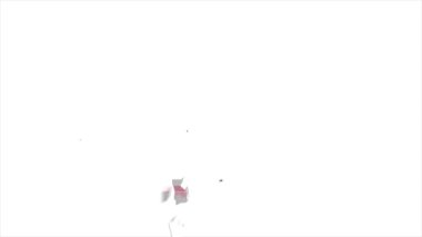 Amerika Birleşik Devletleri Alabama Eyaleti. Haritadaki canlandırılmış 3d piksel konum işaretleyicisi. Videonuzda ekran şeffaflığı kipi ile kullanılması kolay.