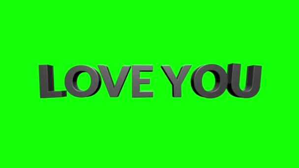 I love you flat text banner intro outro. I love you title reveal. — 图库视频影像