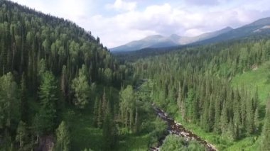  Dağlara (quadrocopter yönünü ormanda üzerinde uçmak)