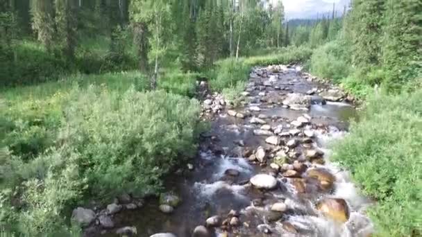 Cámara se eleva por encima del río bosque (quadrocopter ) — Vídeo de stock