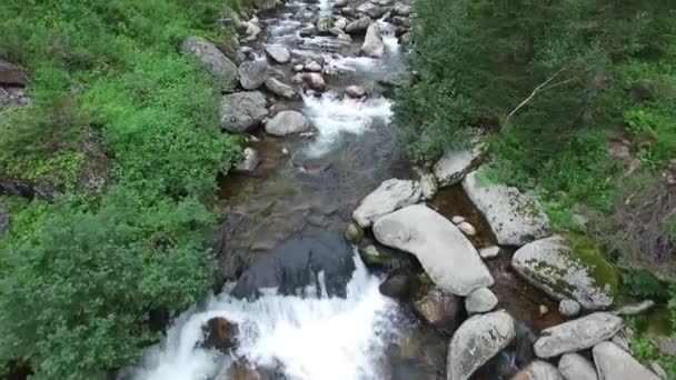 Câmera voadora baixa sobre um córrego de montanha — Vídeo de Stock