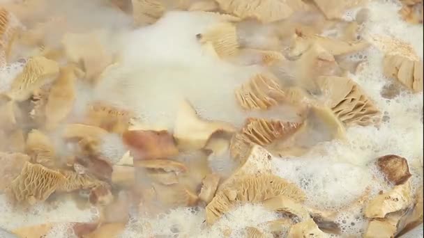 Pilze in kochendem Wasser gekocht — Stockvideo