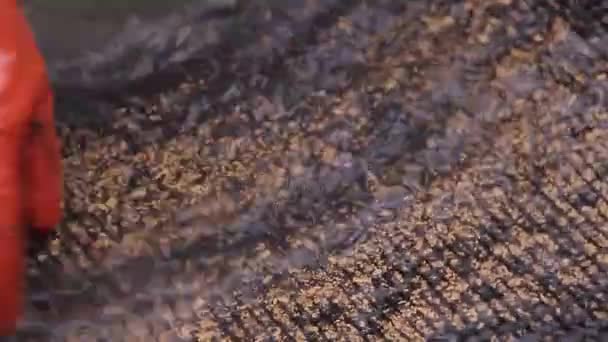 piège en caoutchouc or 