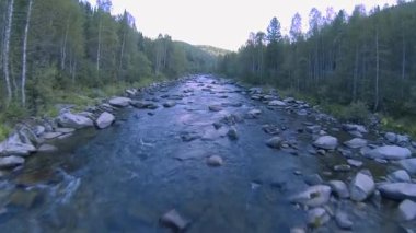 Orman dağ nehri (kamera hareketi yukarı su)