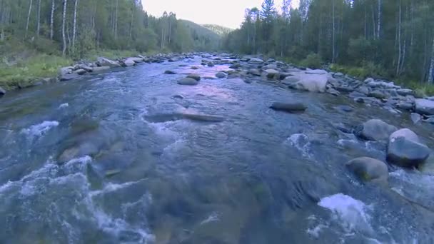 Rivière de montagne forestière (mouvement de caméra en aval de l'eau ) — Video