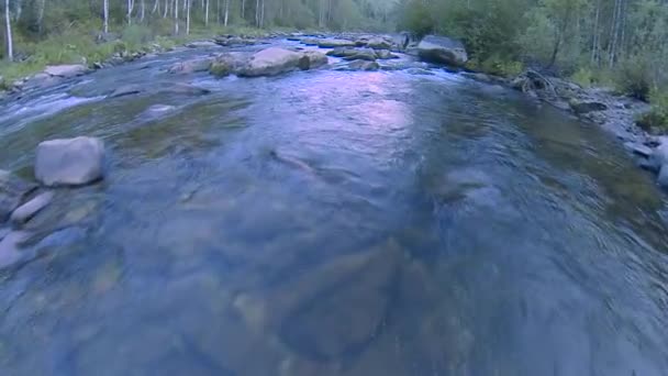 Лесная горная река (движение камеры выше по течению) ) — стоковое видео