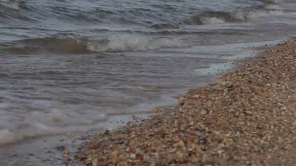 Lac Baïkal à l'automne — Video