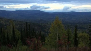 Sibirya Tayga, gün batımında manzara