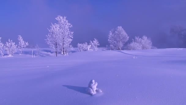 Le conte de l'hiver — Video